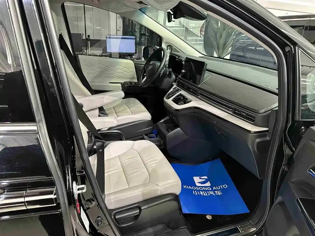 Elysion 2024 2.0L e:HEV Luxury Edition — миниатюра 17
