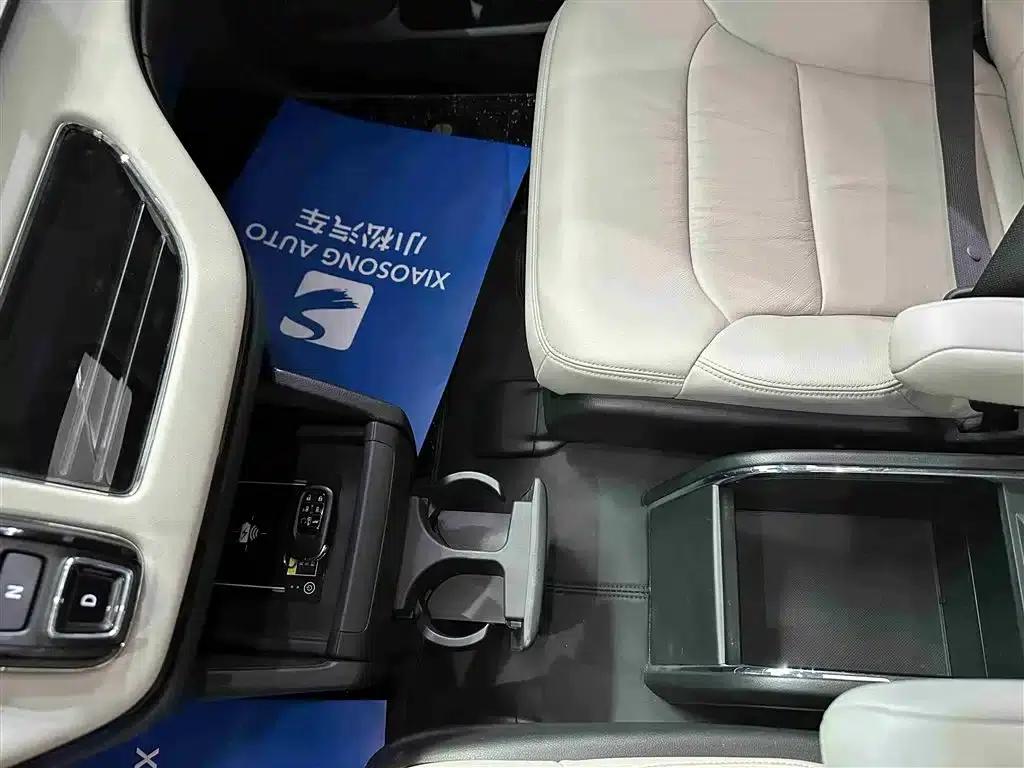 Elysion 2024 2.0L e:HEV Luxury Edition — миниатюра 8