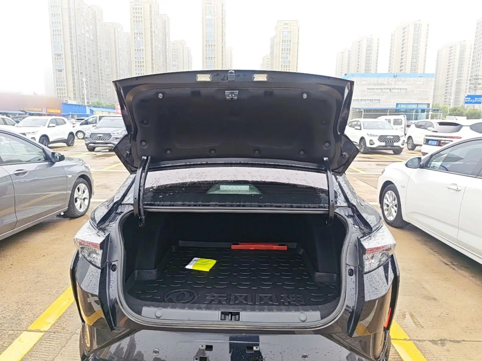 Dongfeng Aeolus Yixuan 2021 230T Automatic Dream-Chasing Rider Edition — миниатюра 22