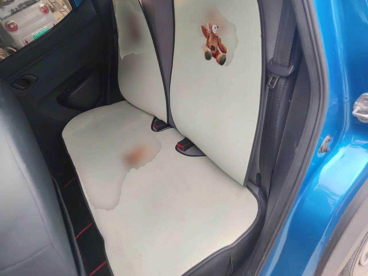 Dongfeng Fengon E1 2020 E-Intelligent Model — миниатюра 18