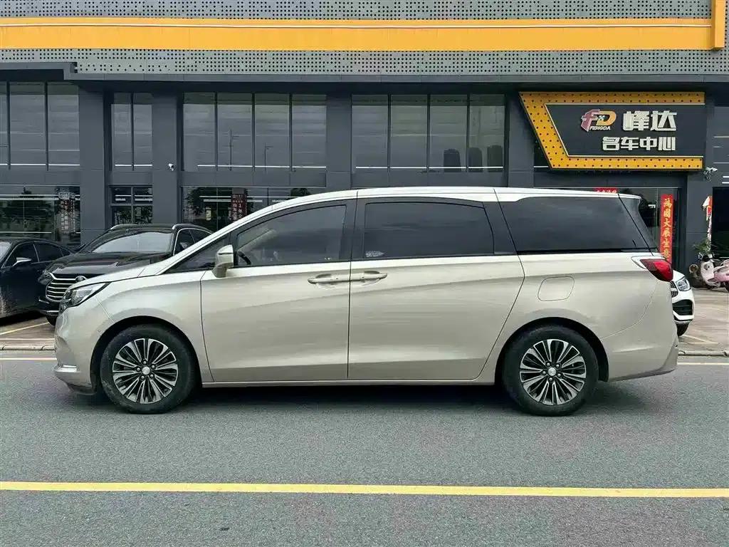 Buick GL8 2021 ES Avantgarde 653T Luxury — миниатюра 4