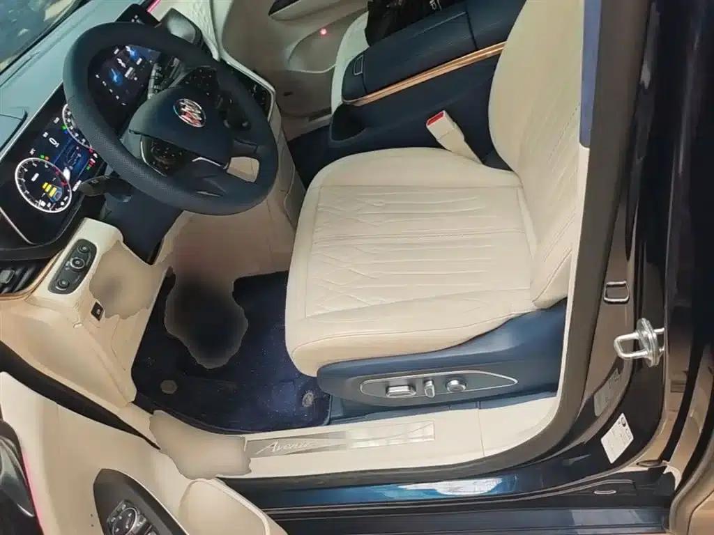 Buick GL8 2021 Avenir (4-seater premium edition) — миниатюра 15