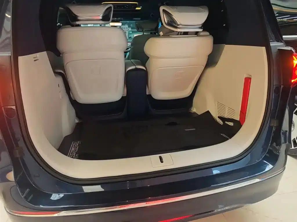 Buick GL8 2021 Avenir (4-seater premium edition) — миниатюра 19