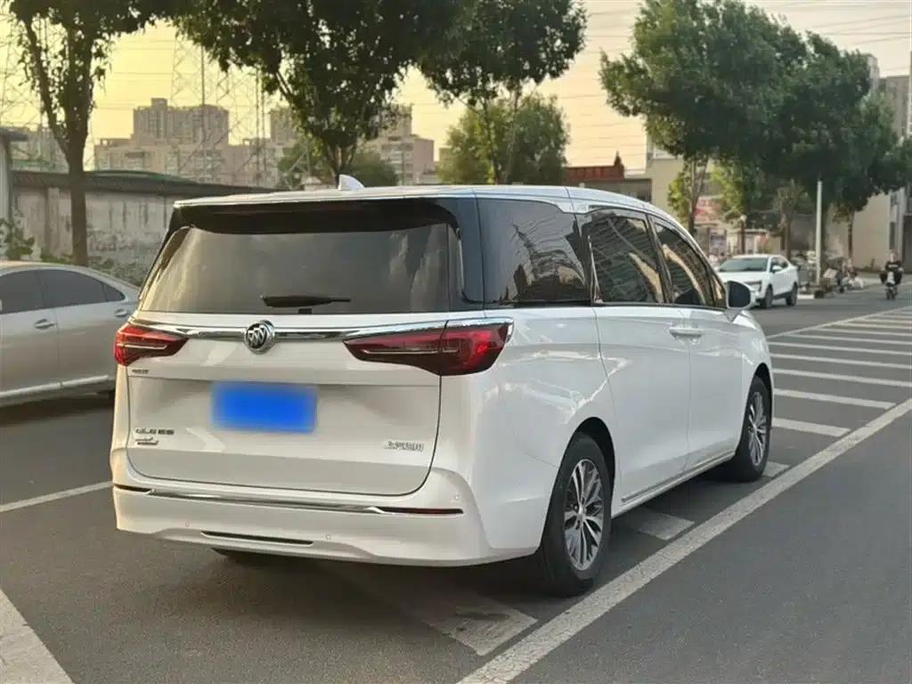 Buick GL8 2023 ES Avantgarde Premium Edition — миниатюра 10