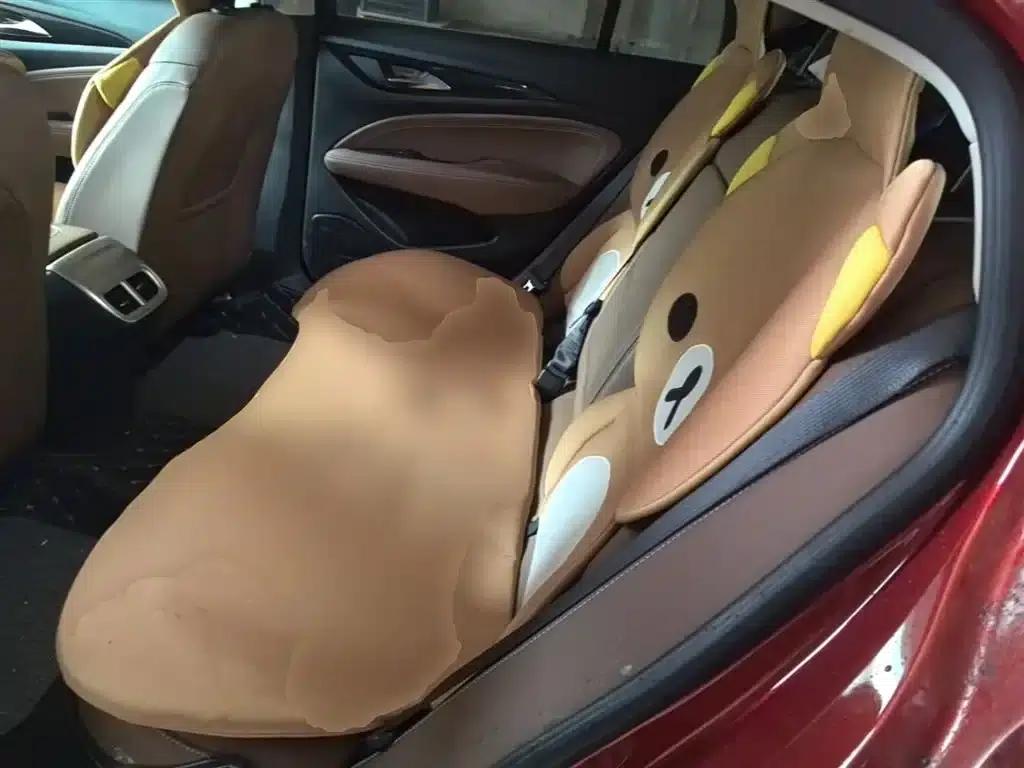 Buick Regal 2017 20T Elite — миниатюра 17
