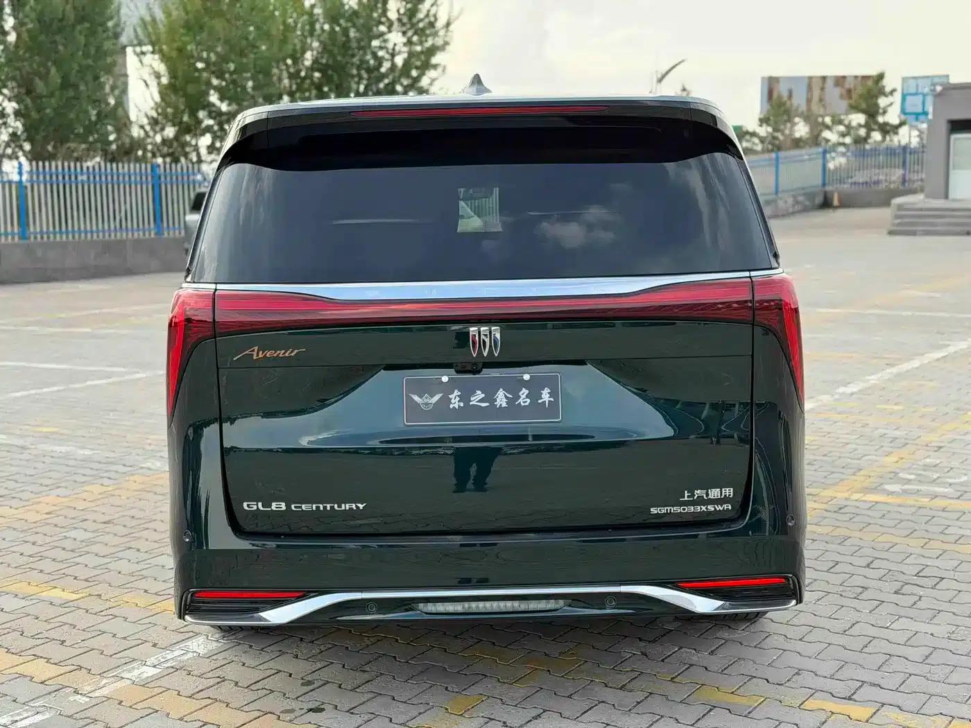 Century 2023 2.0T Four-Seat Private Edition — миниатюра 10