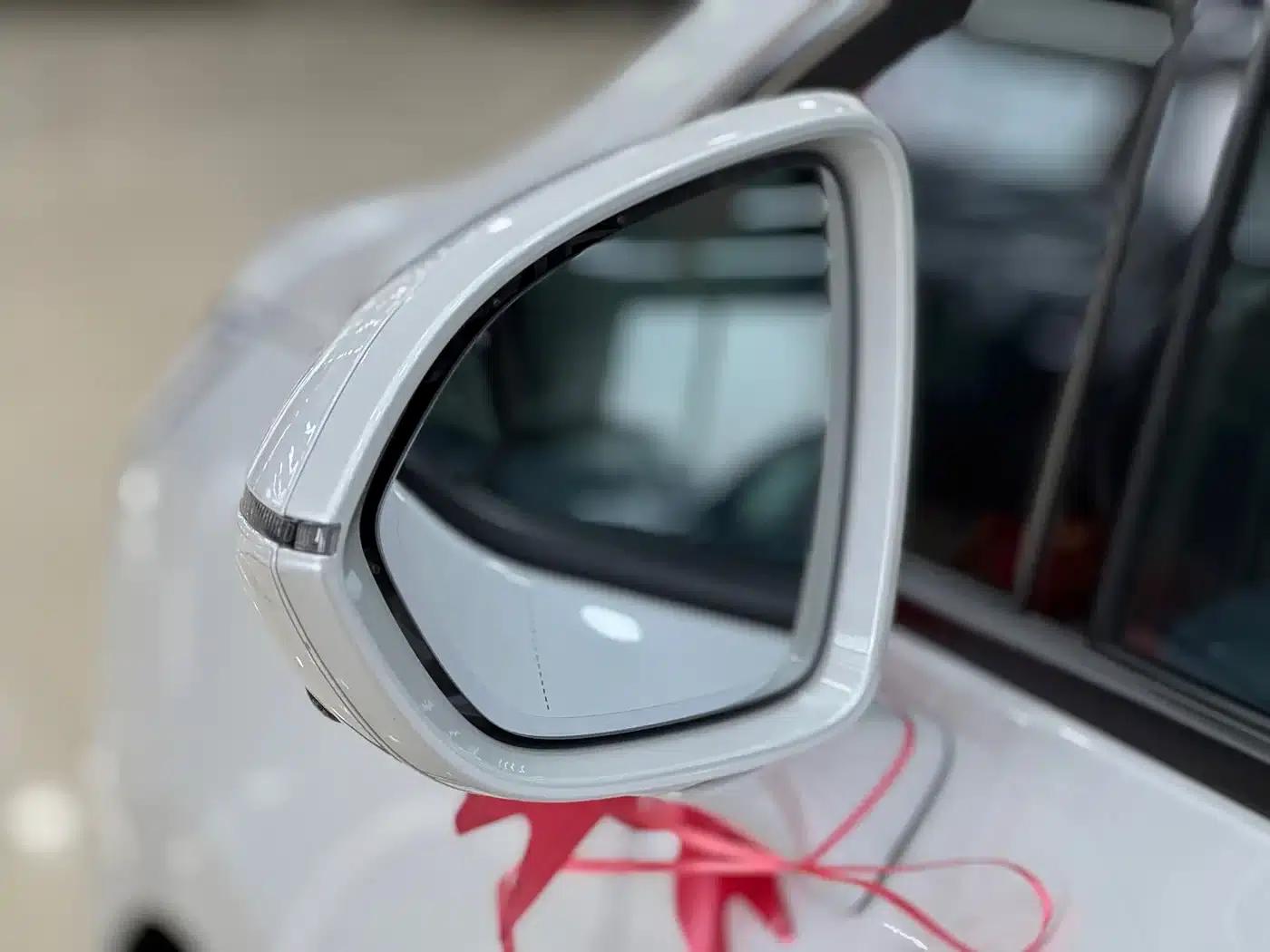 Century 2023 2.0T 7-Seat Luxury Edition — миниатюра 10