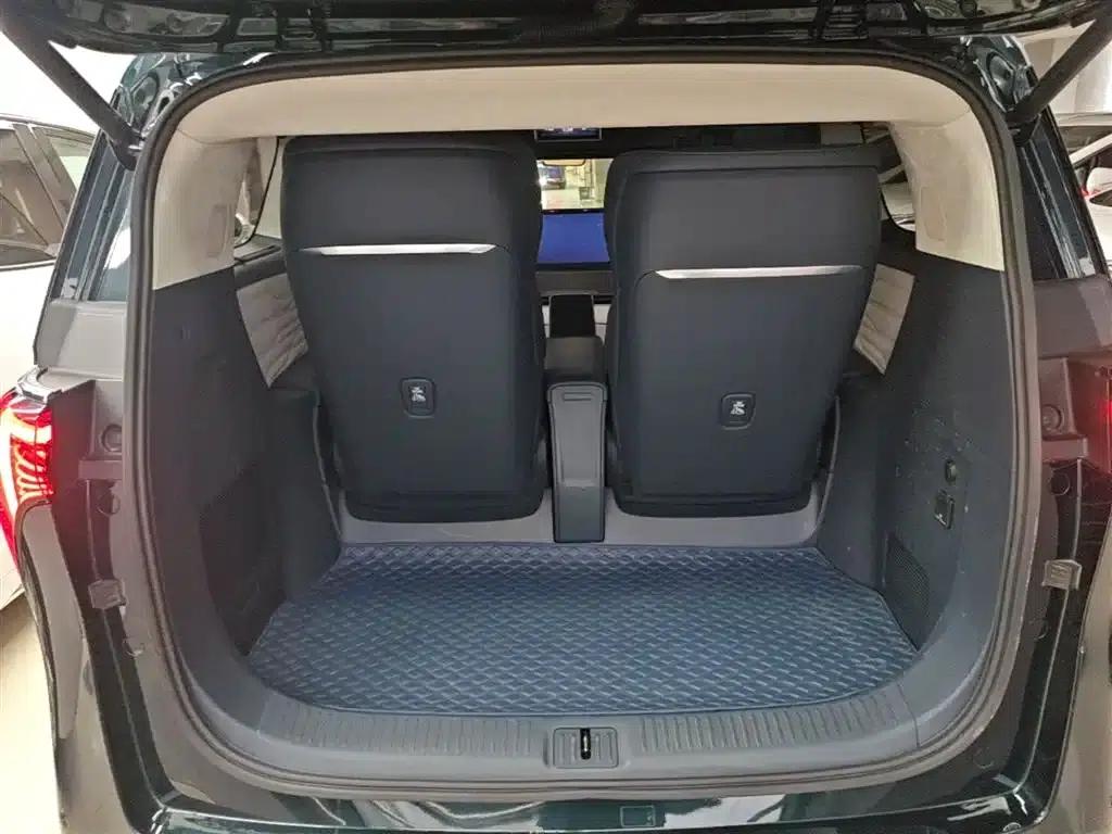 Century 2023 2.0T Four-Seat Private Edition — миниатюра 19