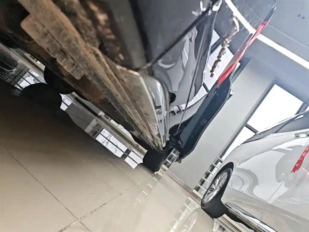 Century 2023 2.0T Four-Seat Private Edition — миниатюра 22