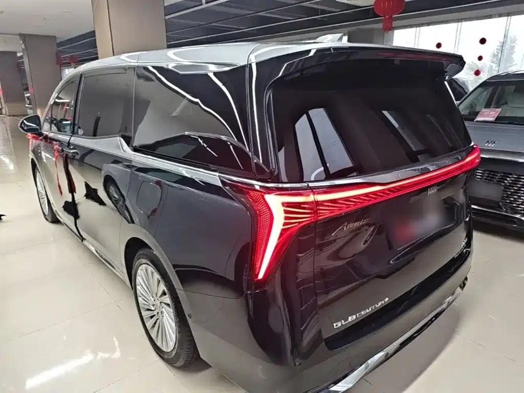 Century 2023 2.0T Four-Seat Private Edition — миниатюра 5