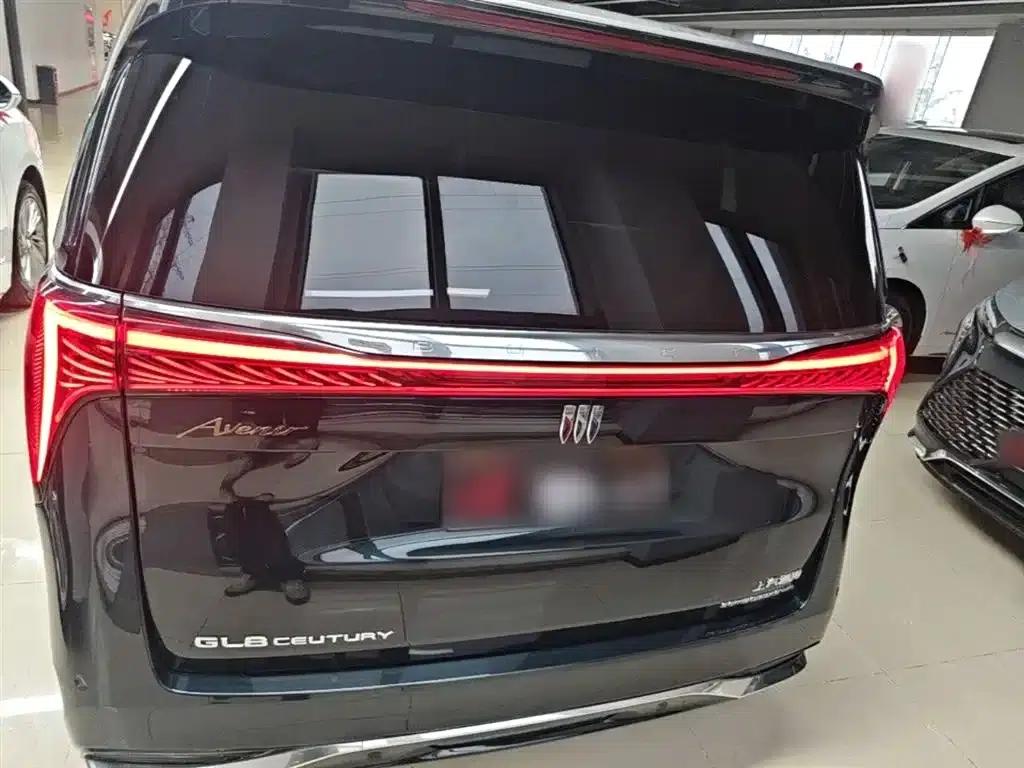 Century 2023 2.0T Four-Seat Private Edition — миниатюра 6