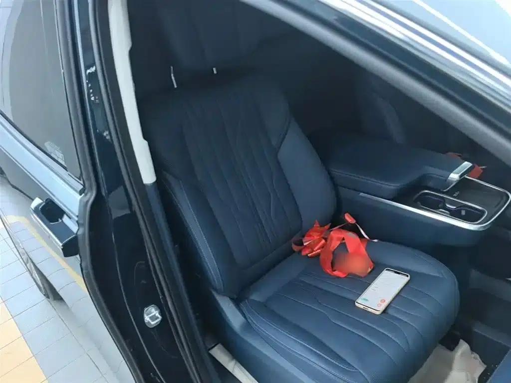 Century 2023 2.0T Four-Seat Private Edition — миниатюра 24
