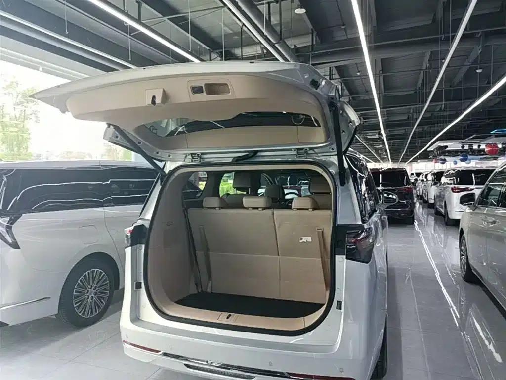 Buick GL8 PHEV 2025 Land Cruiser Premium Edition — миниатюра 19