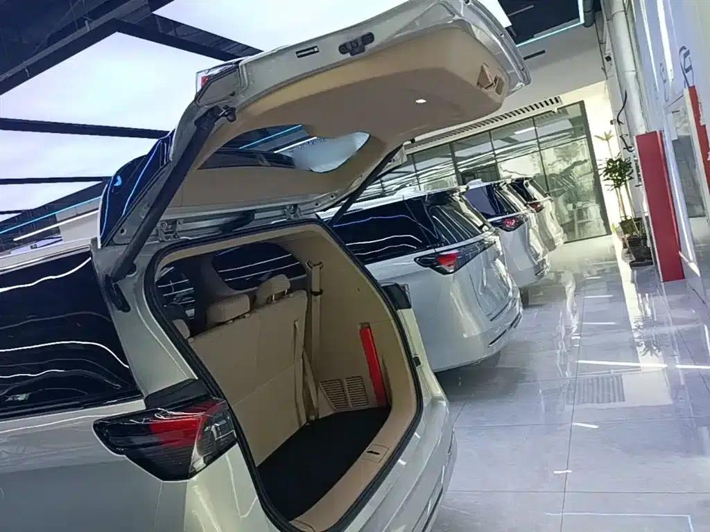 Buick GL8 PHEV 2025 Land Cruiser Premium Edition — миниатюра 19
