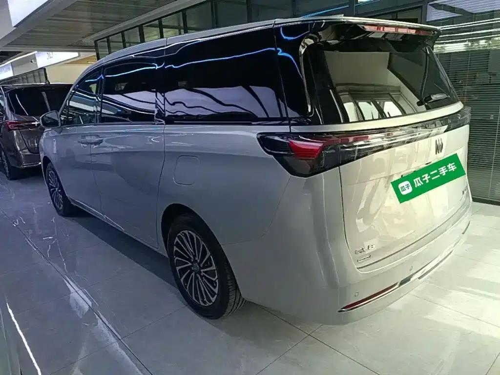 Buick GL8 PHEV 2025 Land Cruiser Premium Edition — миниатюра 5
