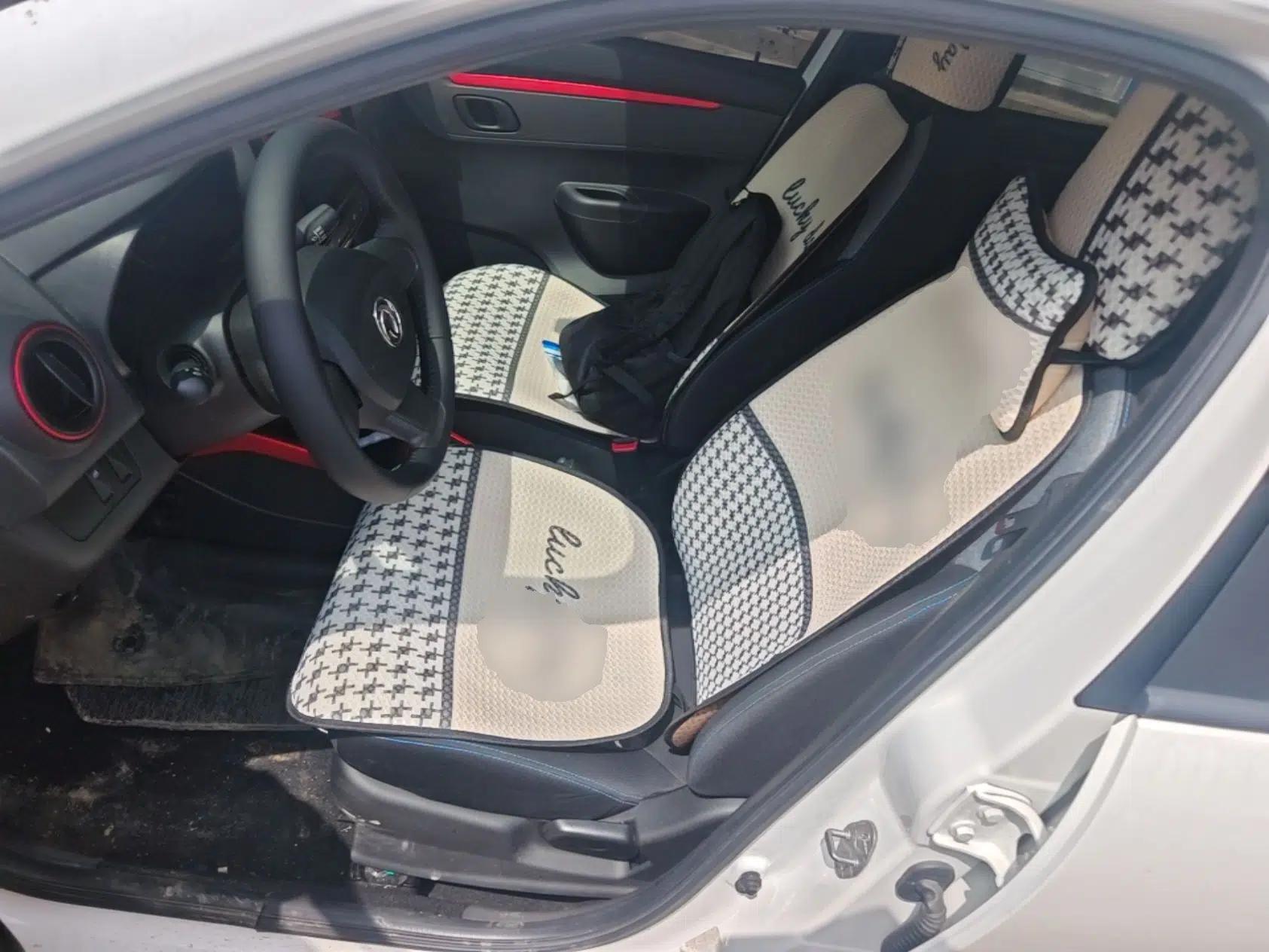 Dongfeng NAMMI EX1 2021 Quality Edition — миниатюра 18