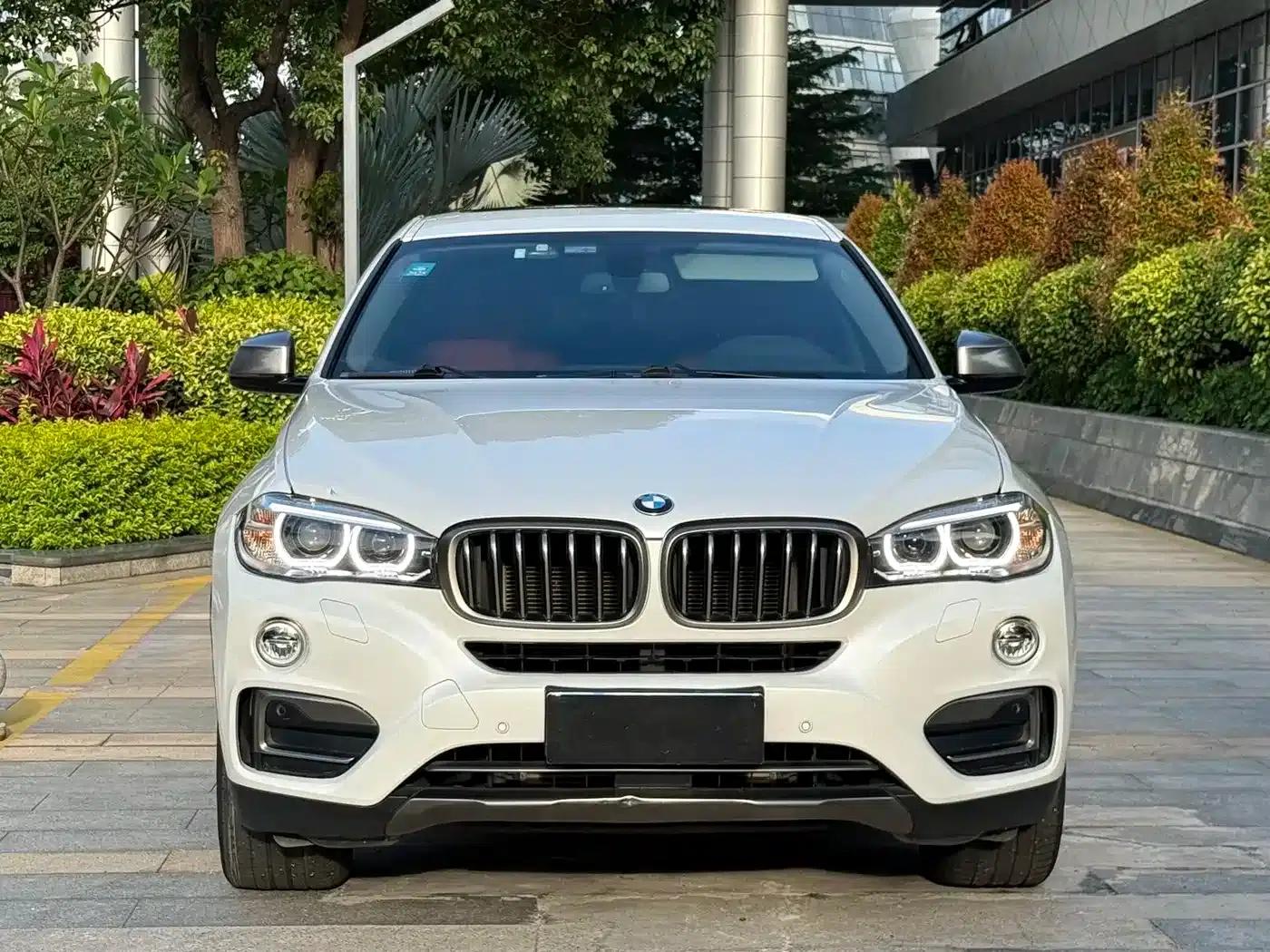 BMW X6 2015 xDrive35i Leading Edition — миниатюра 2