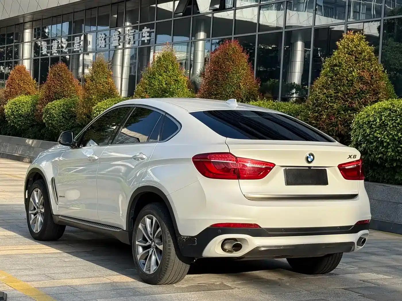 BMW X6 2015 xDrive35i Leading Edition — миниатюра 14