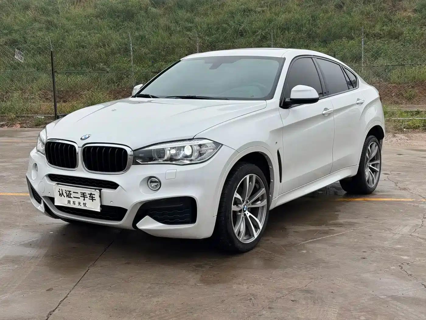 BMW X6 2018 xDrive28i — миниатюра 1