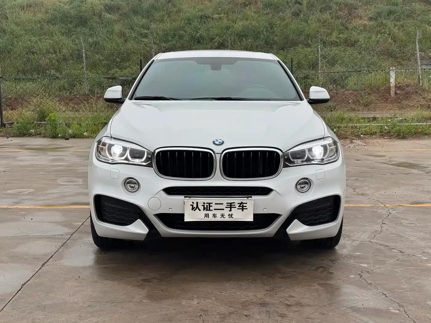 BMW X6 2018 xDrive28i — миниатюра 2