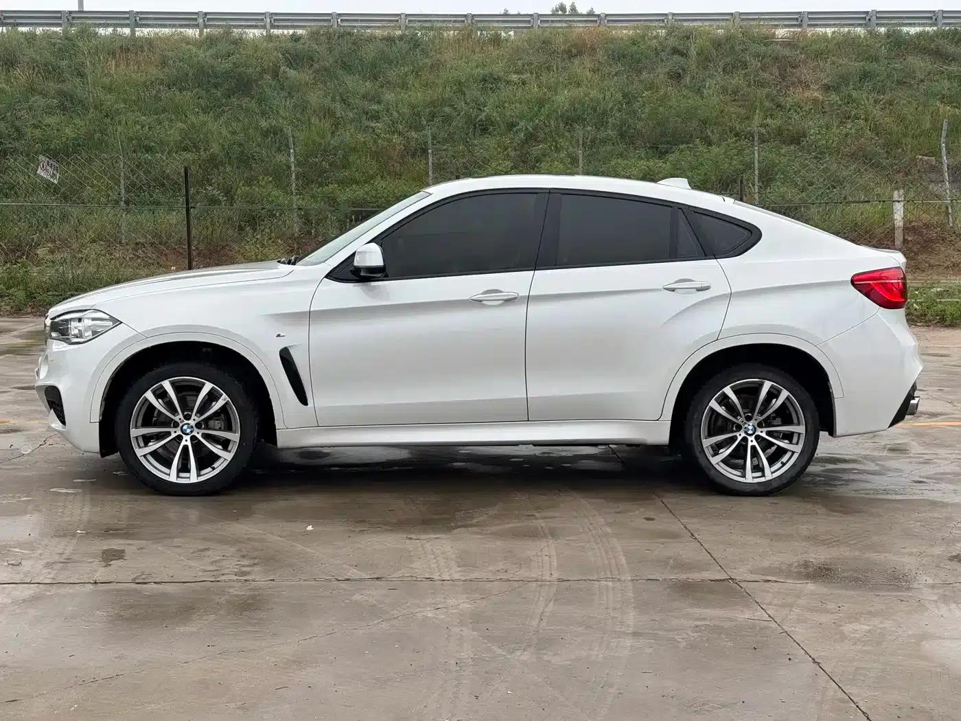 BMW X6 2018 xDrive28i — миниатюра 4