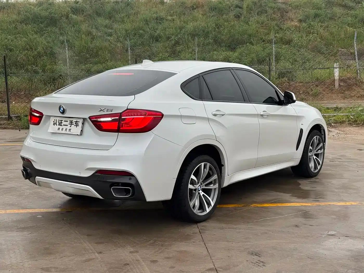 BMW X6 2018 xDrive28i — миниатюра 6