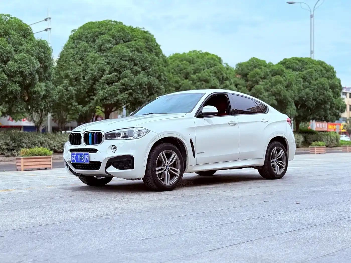 BMW X6 2017 xDrive35i Leading Edition — миниатюра 1