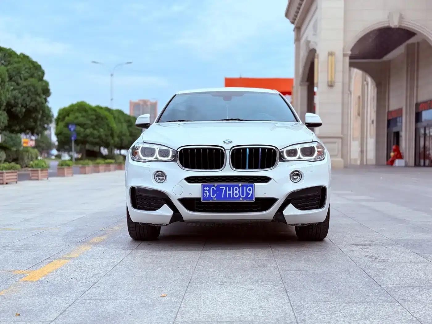 BMW X6 2017 xDrive35i Leading Edition — миниатюра 2