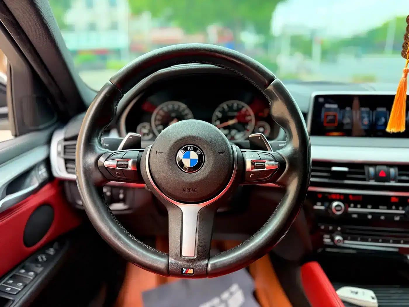BMW X6 2017 xDrive35i Leading Edition — миниатюра 14