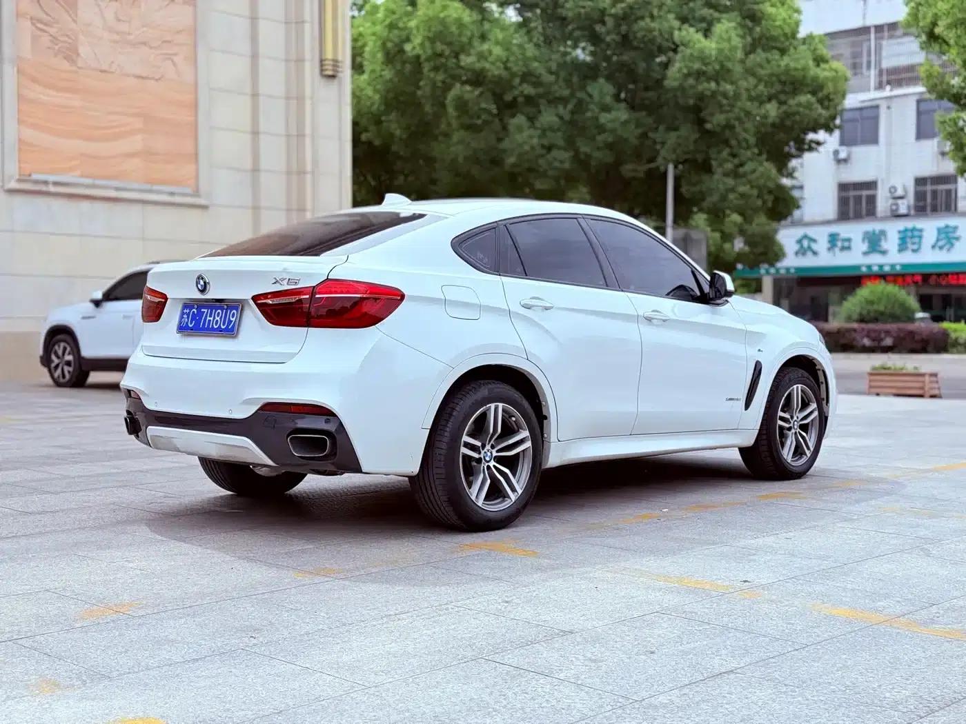 BMW X6 2017 xDrive35i Leading Edition — миниатюра 4