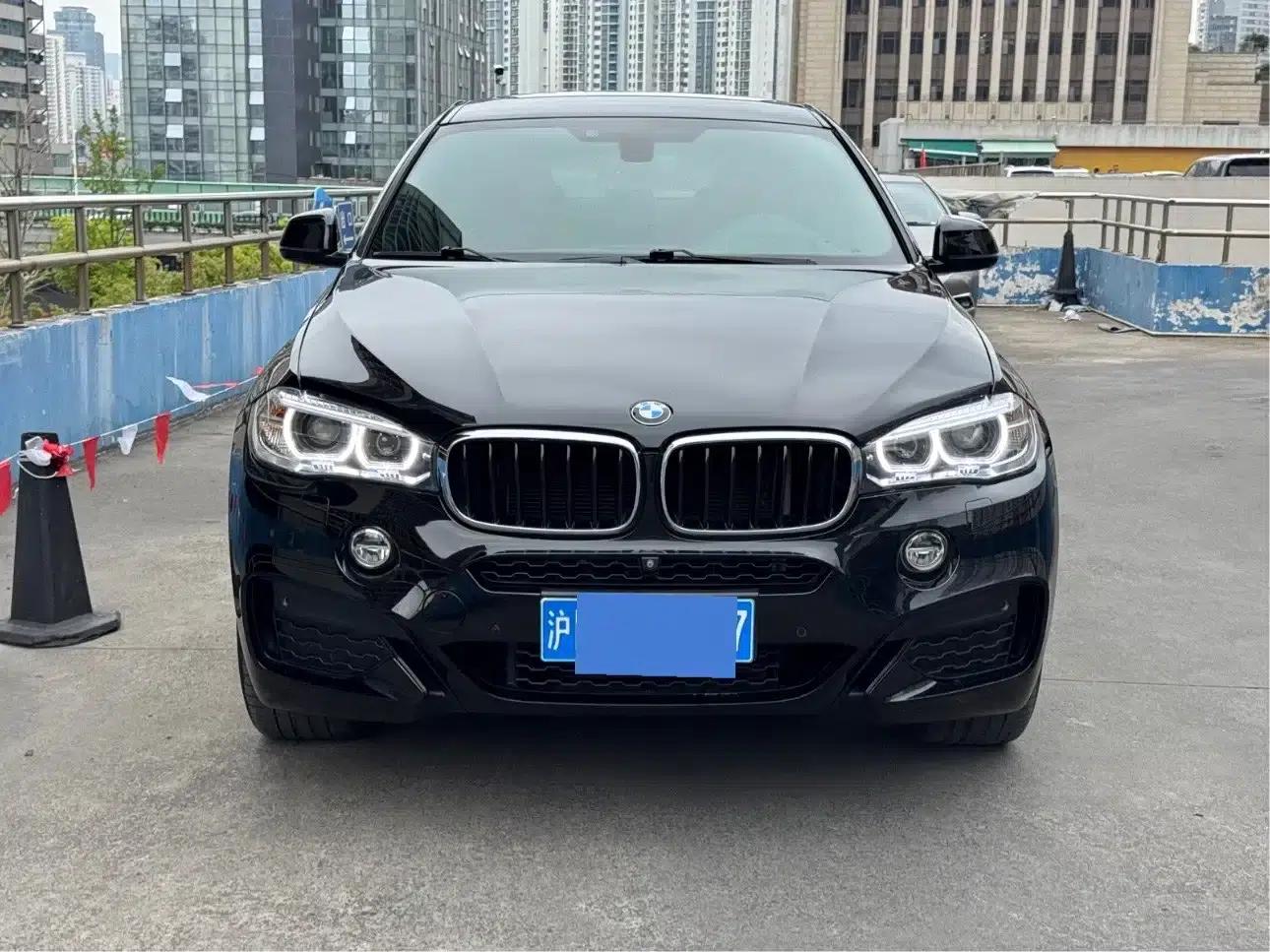 BMW X6 2019 xDrive35i Luxury M Sport Package — миниатюра 1