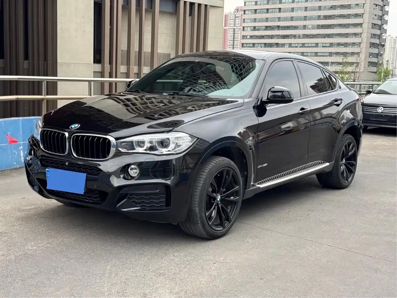 BMW X6 2019 xDrive35i Luxury M Sport Package — миниатюра 2