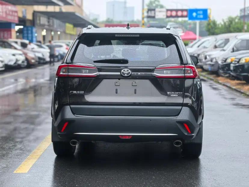 Toyota Wildlander 2020 2.0L CVT Four-Wheel Drive Premium Edition — миниатюра 7