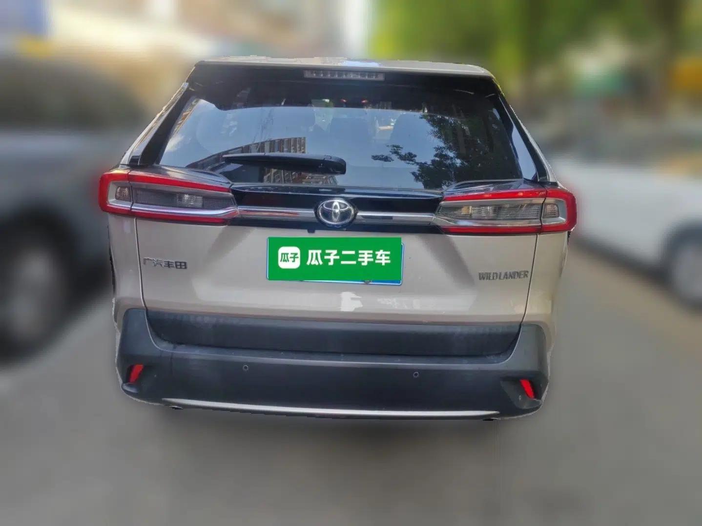 Toyota Wildlander 2020 2.0L CVT Two-Wheel Drive Luxury Edition — миниатюра 5