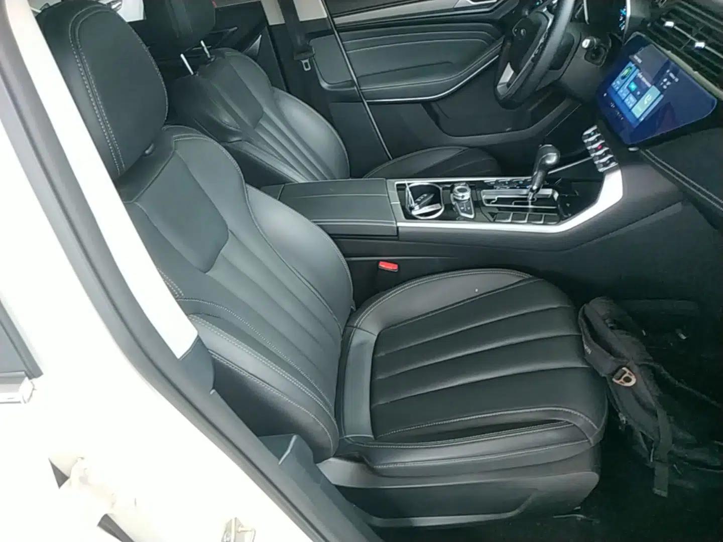 Ford Territory 2020 Lingjie S EcoBoost 145 CVT Platinum Edition — миниатюра 23
