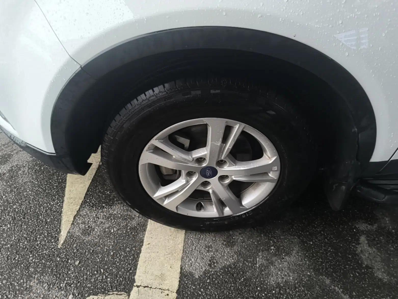 Ford Territory 2019 Custom Edition — миниатюра 8