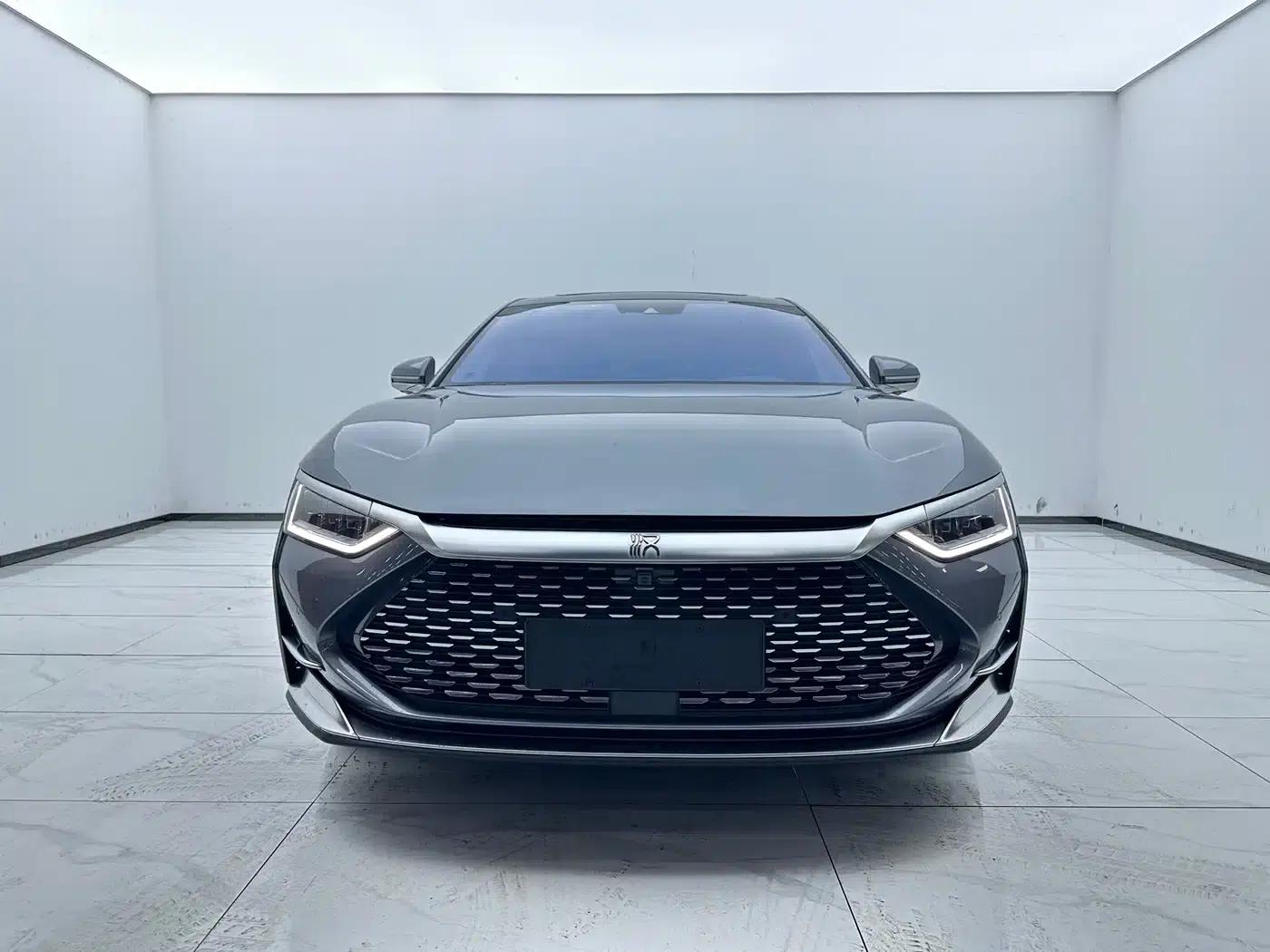 2020 Han DM 4WD Performance Premium Edition — миниатюра 2