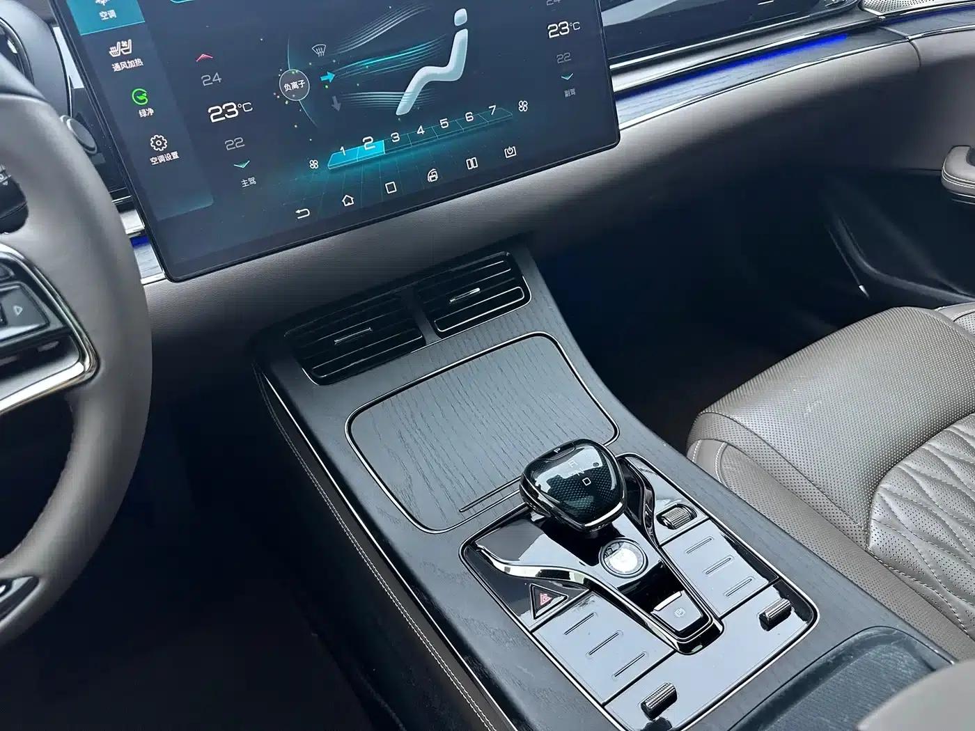2020 Han DM 4WD Performance Premium Edition — миниатюра 12