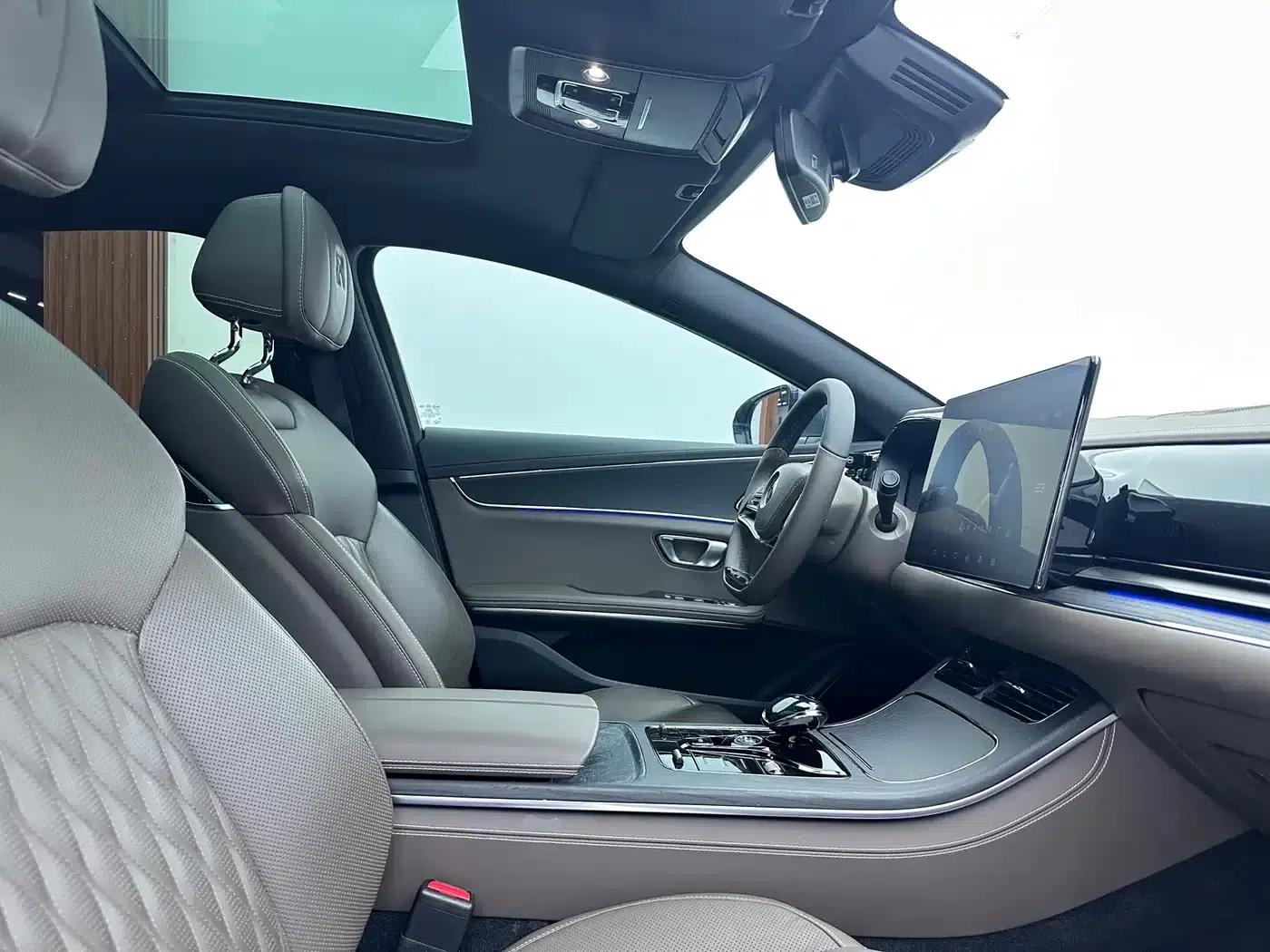 2020 Han DM 4WD Performance Premium Edition — миниатюра 13