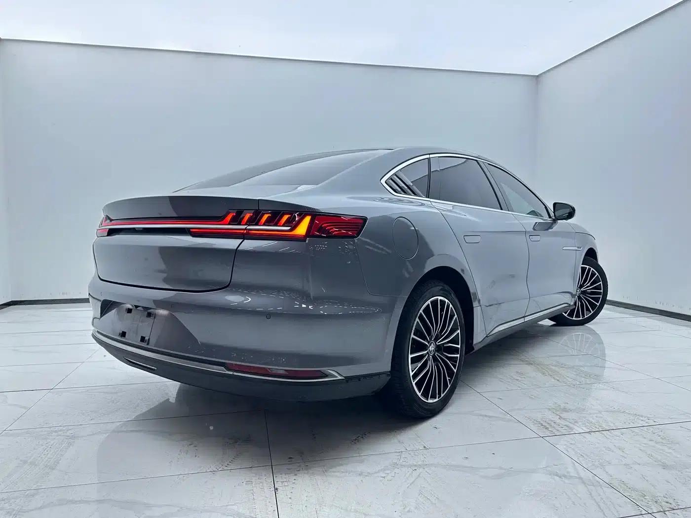 2020 Han DM 4WD Performance Premium Edition — миниатюра 4
