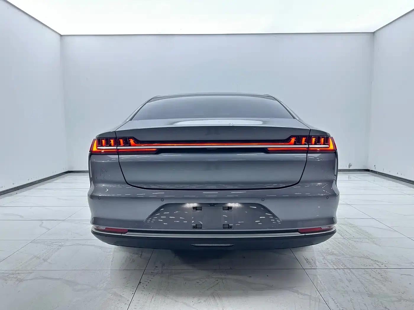 2020 Han DM 4WD Performance Premium Edition — миниатюра 5
