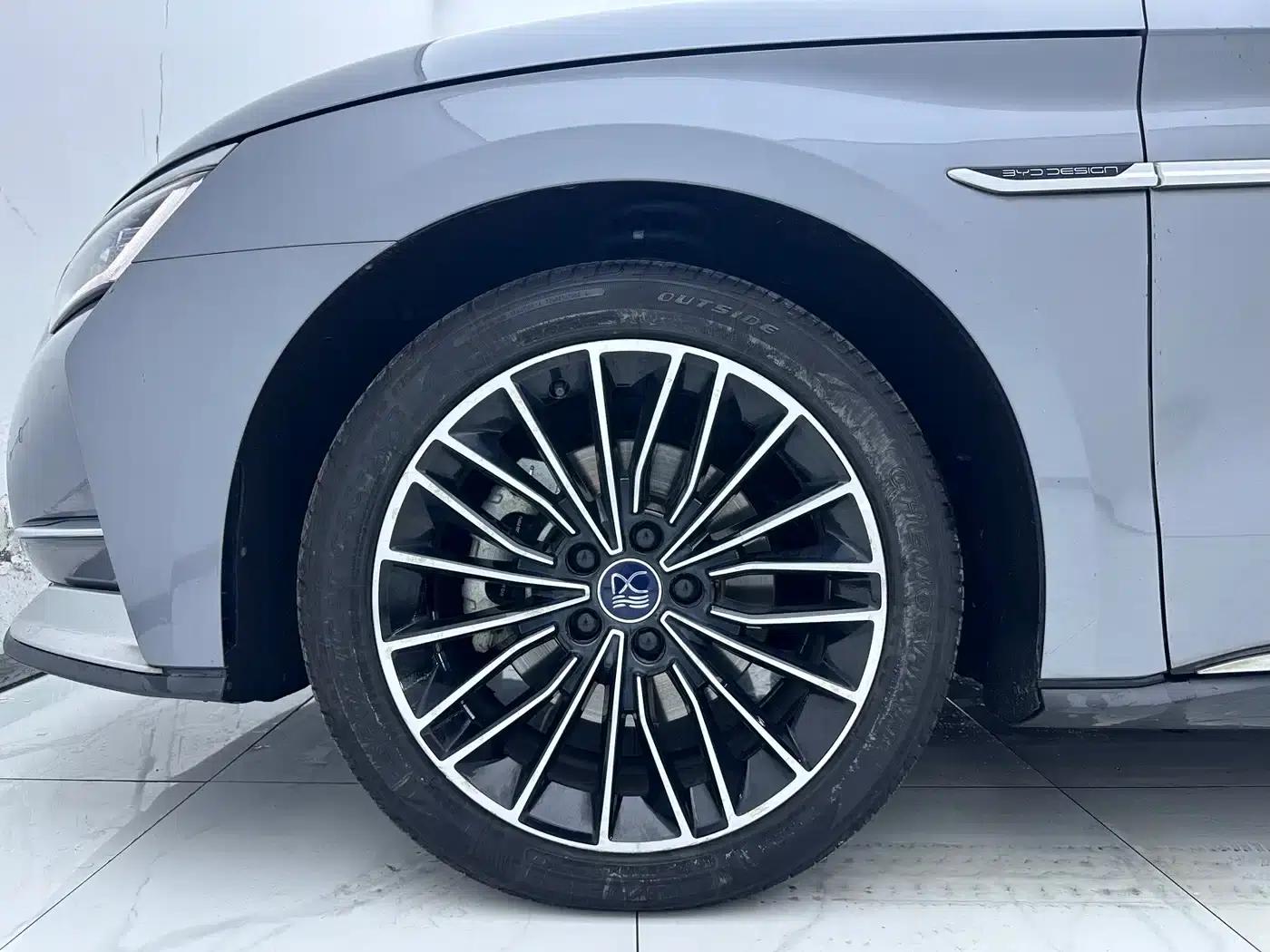 2020 Han DM 4WD Performance Premium Edition — миниатюра 6