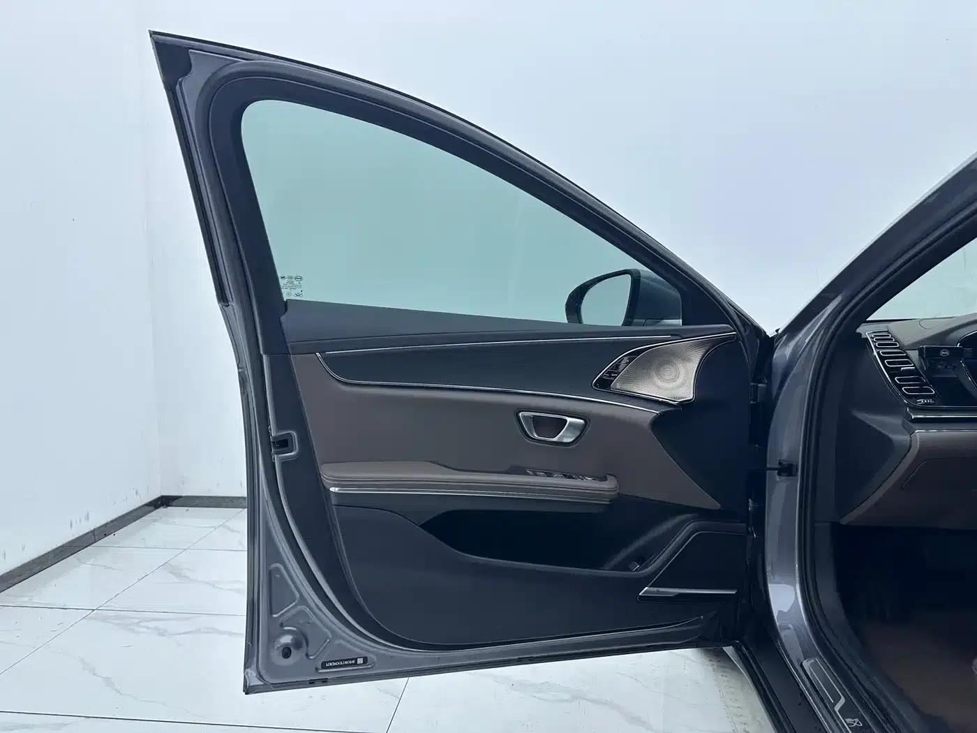 2020 Han DM 4WD Performance Premium Edition — миниатюра 7
