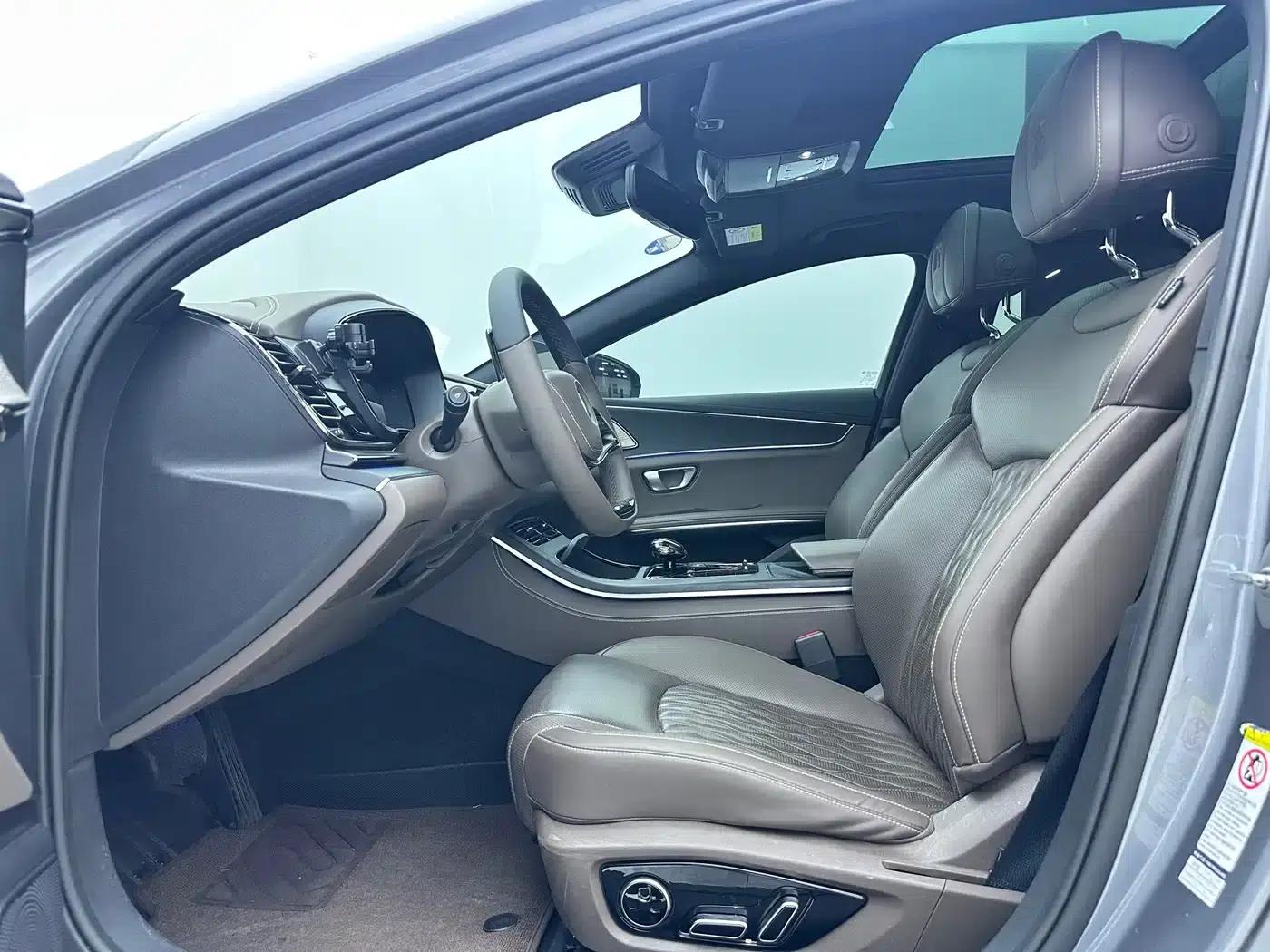 2020 Han DM 4WD Performance Premium Edition — миниатюра 9