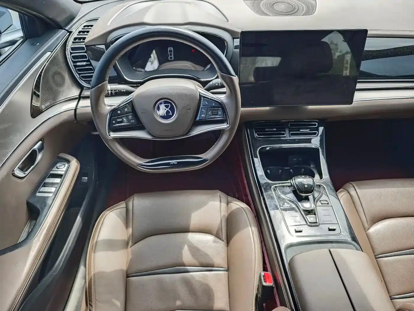 2020 Han DM 4WD Performance Premium Edition — миниатюра 4