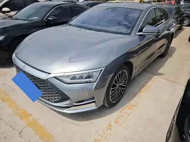 2020 Han DM 4WD Performance Premium Edition