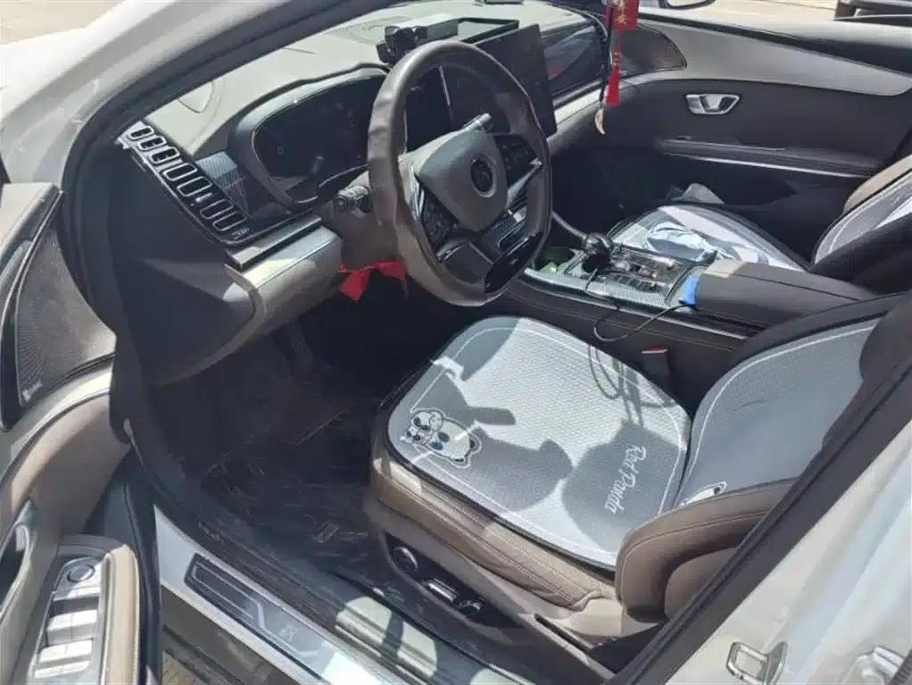 Han 2021 EV Standard Range Luxury Edition — миниатюра 4