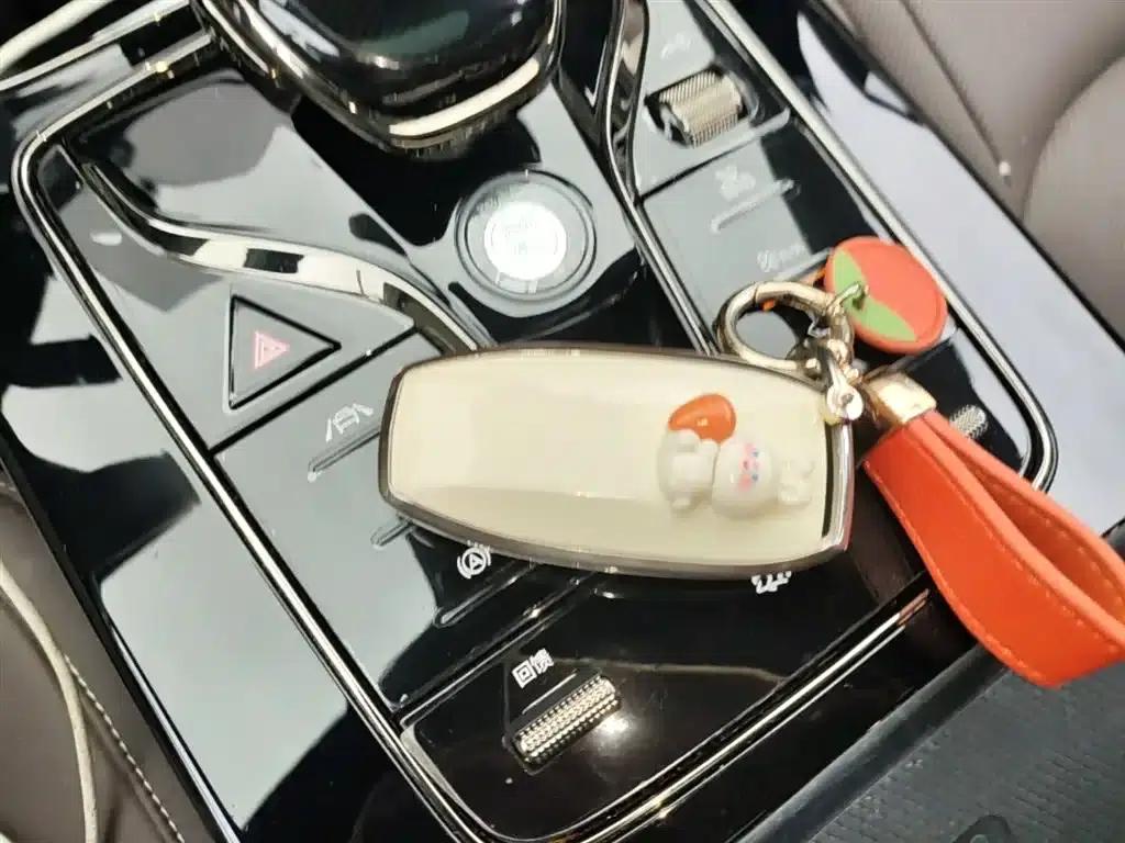 Han 2020 EV Extended Range Luxury Edition — миниатюра 9