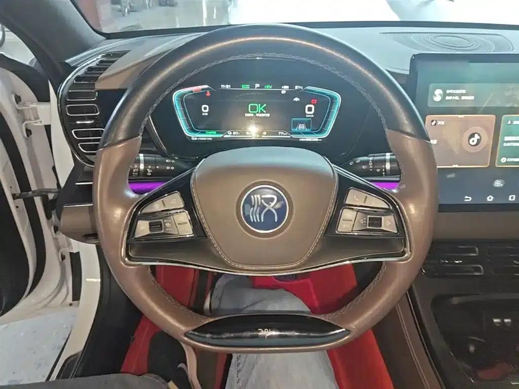 2020 Han DM 4WD Performance Premium Edition — миниатюра 11