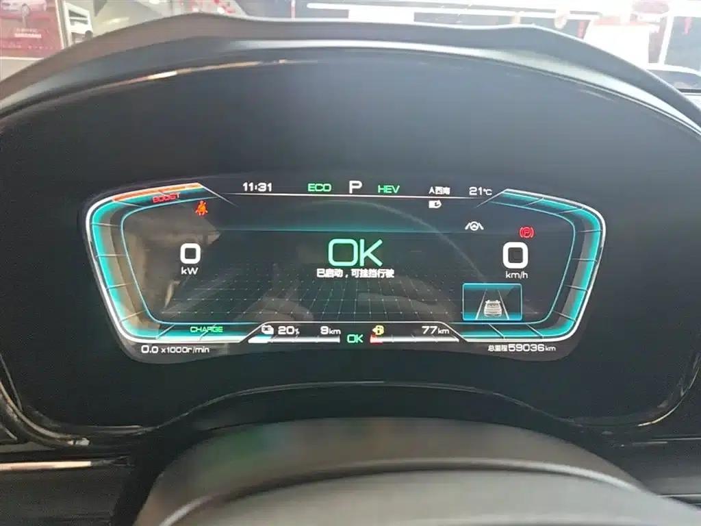 2020 Han DM 4WD Performance Premium Edition — миниатюра 12